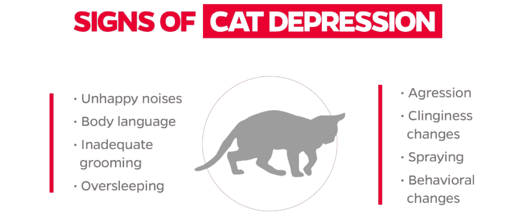 cat depression