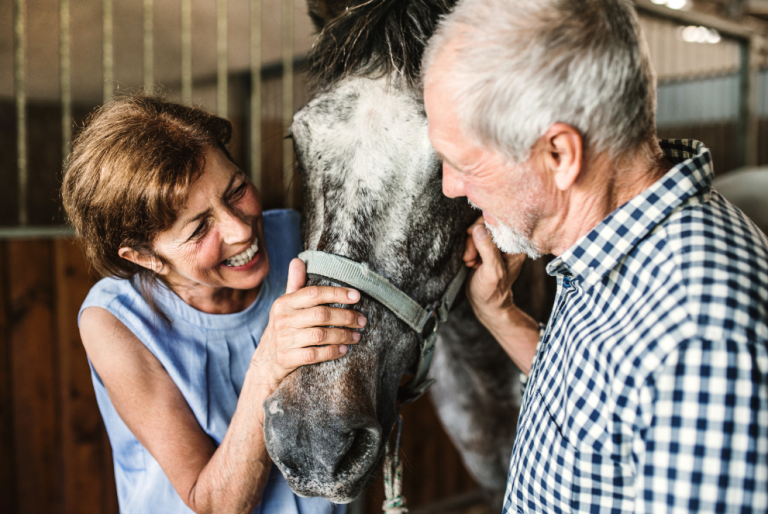 A Guide to Caring for Your Pet Horse