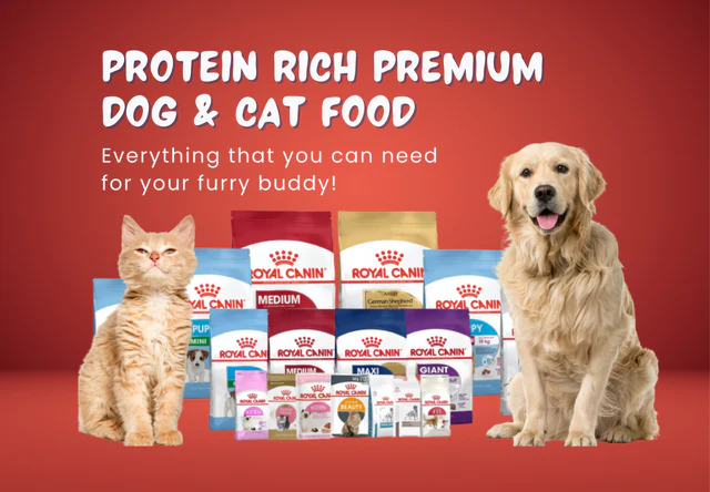 Discover the Best Pet Products at Furry Specials – Your Ultimate Pet Supplies Destination